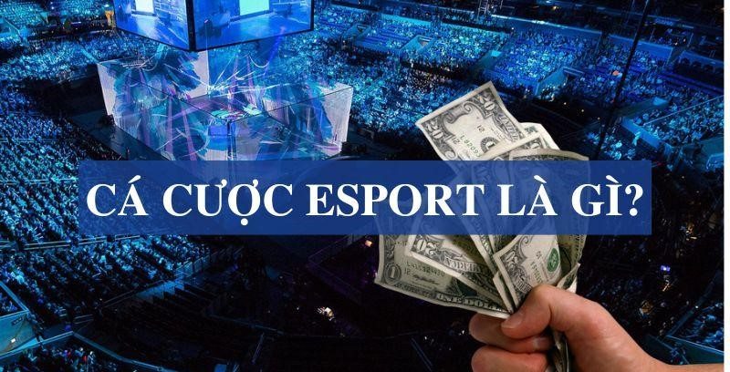 Cá cược Esport là gì?