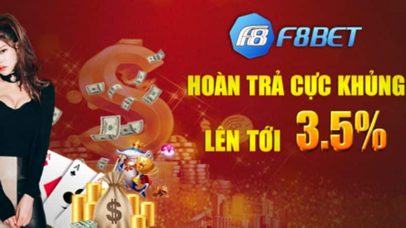 Lý do nên chơi cá cược F8bet 