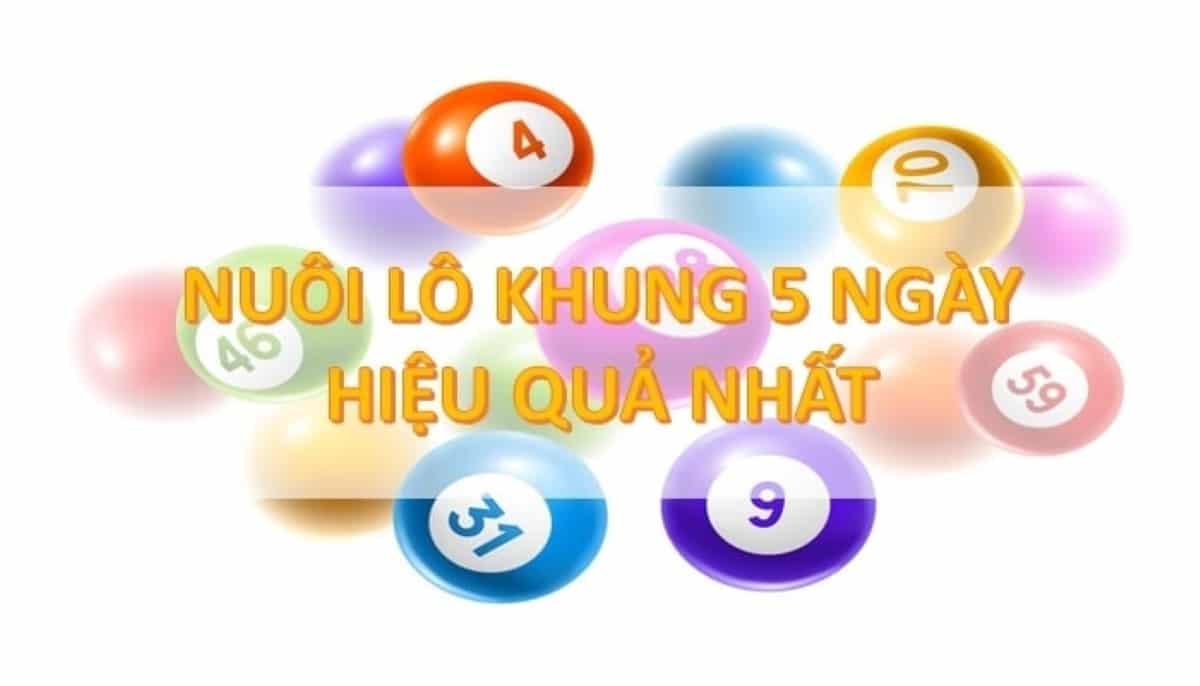 Hướng dẫn cách nuôi lô bạch thủ khung 5 ngày chuẩn xác