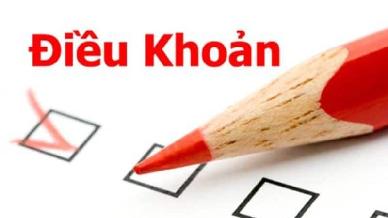 Đảm bảo tuân thủ quy định pháp luật 